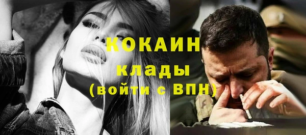 дмт Михайловск