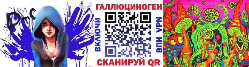 закладка  Хилок  Псилоцибиновые грибы Magic Shrooms 